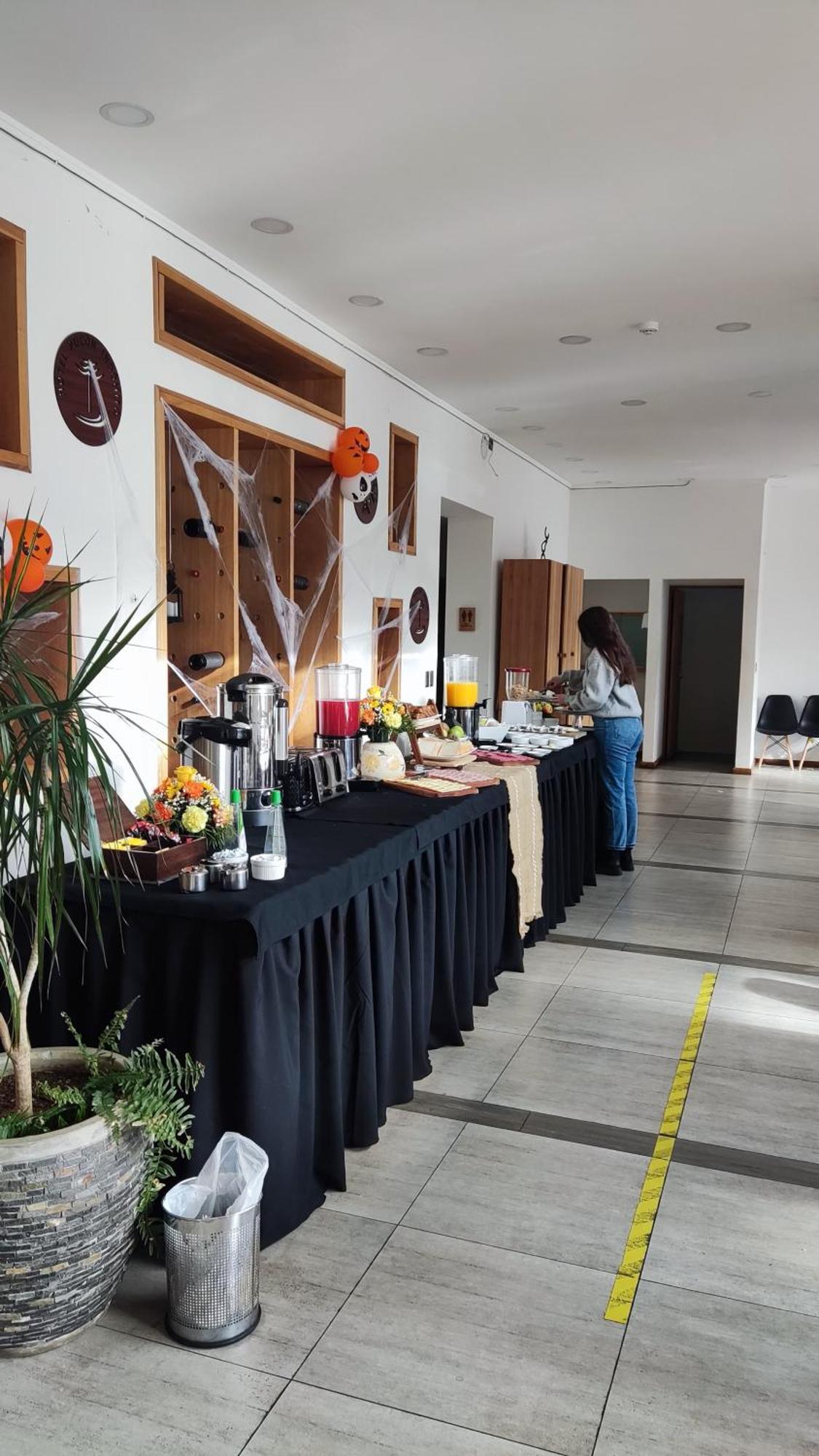 Hotel Pucon Indomito ภายนอก รูปภาพ